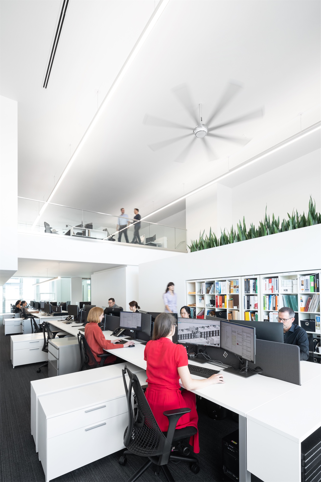 TKA+D Staff TKA+D Staff